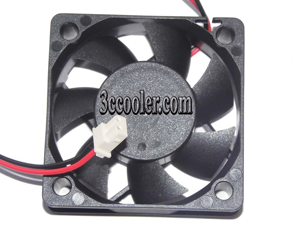 50MM Case Fan > CPU Cooler / Fan / heatsink